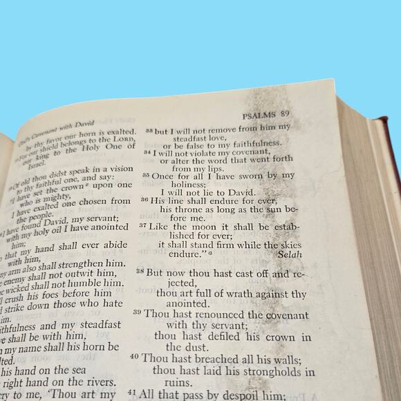 Vintage Holy Bible Revised Standard Old & New Testament 1952 Red Cover T. Nelson - Picture 12 of 16